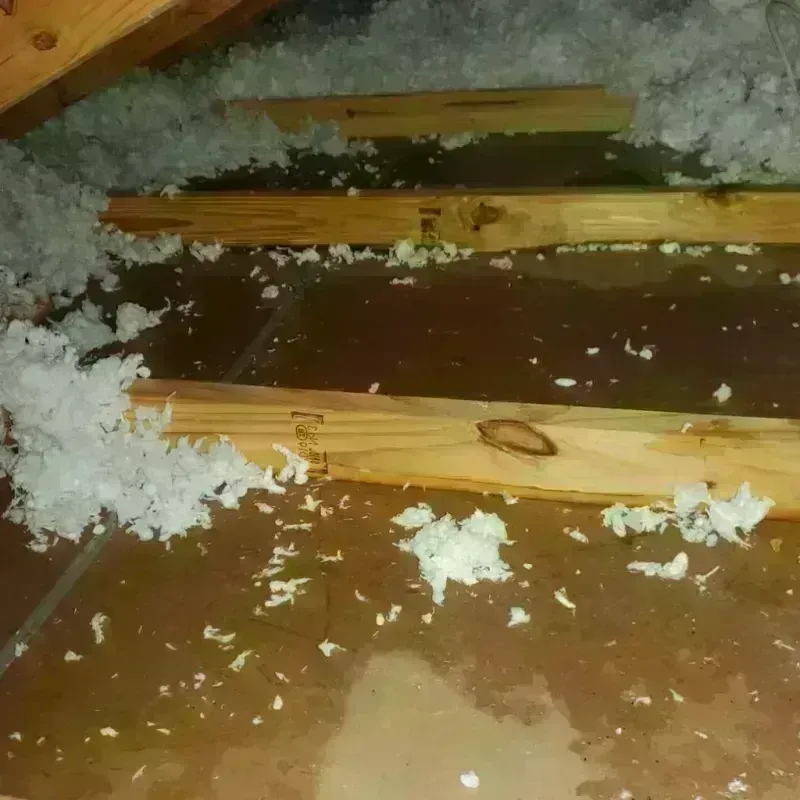 Attic Water Damage in Edgefield County, SC